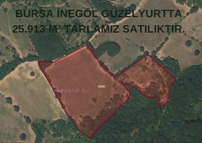 Fotoğraf